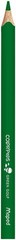 Durable Jumbo Triangular Colored Pencils – Assorted Colors for Kids – Set of 12