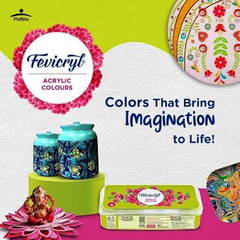 Pidilite Fevicryl Acrylic Paint 10 Colors Set Free Shipping to US