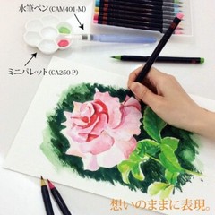 Akashiya SAI Japanese Traditional 20 Set of Brush Pens Watercolour Made in Japan