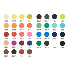 27050 Premier Nupastel Firm Pastel Color Sticks, 36 Unidades
