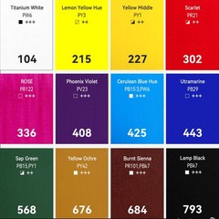 12 PCS Heavy Body Acrylic Paint 2 Oz Tubes Slow Drying Thick Art Paints