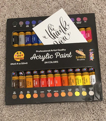 Acrylic Paint Set 24 Colors 12ml Tubes w Brushes Art Kit Canvas Wood Rock New US