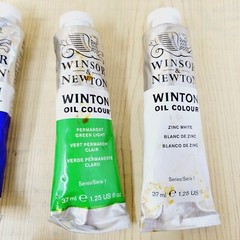 Lot of 19 1.25 Oz Winsor & Newton Winton Oil Paint