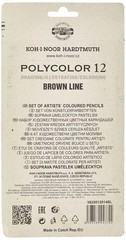 Polycolor Brown Line Artists Coloured Pencils Set of 12