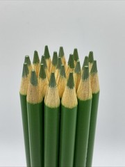 (20) Crayola Colored Pencils (jade green) BULK