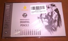 Heshengping Sketch Pencils Set for Drawing 14 Pack Graphite Pencils Shading