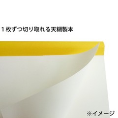 Maruman Sketchbook SOHO B5 100 sheets SOHO501
