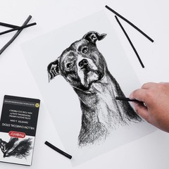 Eco-Friendly Willow Charcoal Sticks – 25 Soft Black Pieces for Artists
