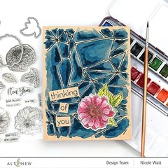 Altenew Watercolor Paint Set 24 Colors Artist Grade Metal Case Travel Palette