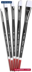Angelus Paint Brush Set Round Flat Angular Artist Acrylic Paint Brush Set Shoe p