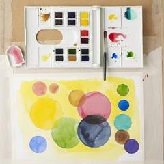 Winsor & Newton Professional Watercolour Field Set ~ 14 Half Pan & Brush ~ 15pc