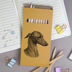 12 x ‘Whippet Dog Portrait’ Long Colour Pencils (PE00093877)