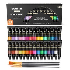Acrylic Paint Set, 30 x12ml Tubes Artist Quality Non Toxic Rich Pigments Colo…