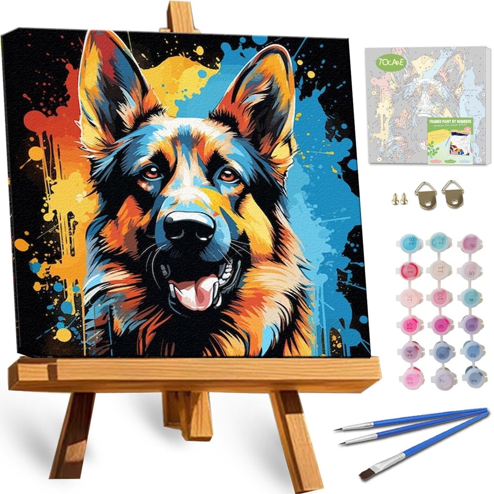 TOCARE Framed Paint by Numbers Kit for Adults 12″x12″Framed, TC-F-372