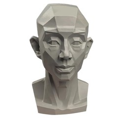Planar Head Model Drawing Mannequin Artists Learn Planes of Face Human Maniki…