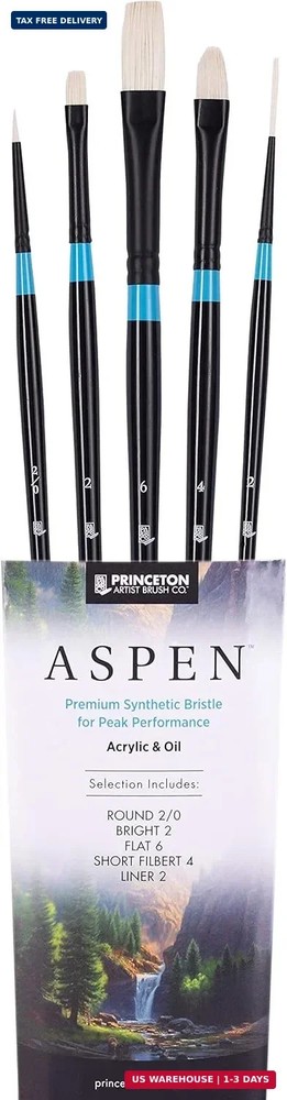 Princeton Aspen 6500 Series 5pc Professional Paint Brushes for Acrylic Painting