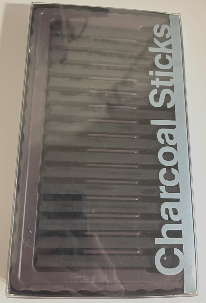Square Charcoal Sticks Drawing Set – 16-Piece Artist in Reusable Tray NEW
