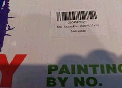DIY Paint By Numbers Kit New 16 x 20 inch Art Set SZH-067 Potted House Plants