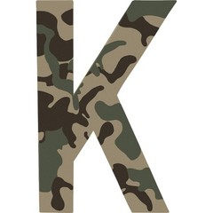 Krylon Camouflage 11 Oz. Ultra-Flat Spray Paint, 11 Ounce (Pack of 1), Sand