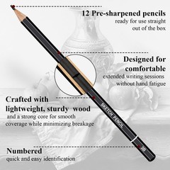 Sketch Pencils 12-Piece Set (4H – 6B) – Perfect for Shading & Drawing