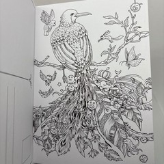 Kerby Rosanes Animorphia Postcards 20 Cards to Colour Art Book Animals