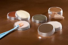 Artist pastels skin tones set 7 color professional pan format cake-like