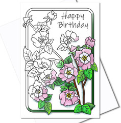 Color Your Own Birthday Cards for Adults, 10 Cards with Different Designs and 10