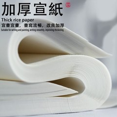 Chinese Blank Xuan Paper Raw, Calligraphy Brush Ink 14.1 x 10.2 inches, White