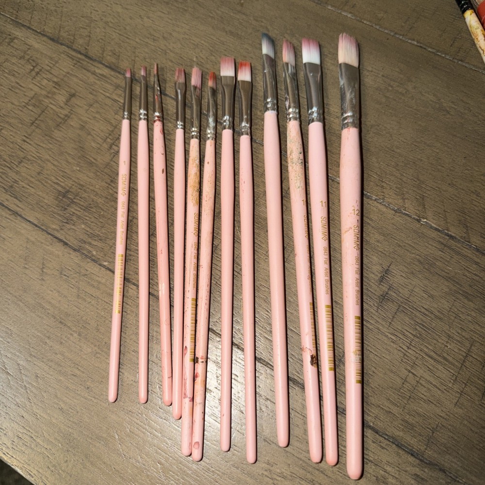 Somime Professional Watercolor Paint Brush Set 12 Pcs Round Flat Pink Well Loved