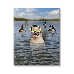 ‘Funny Dog Goggles Swimming Bay’| Canvas Art | | 16 x 20 Inches, 20″L x 16″W