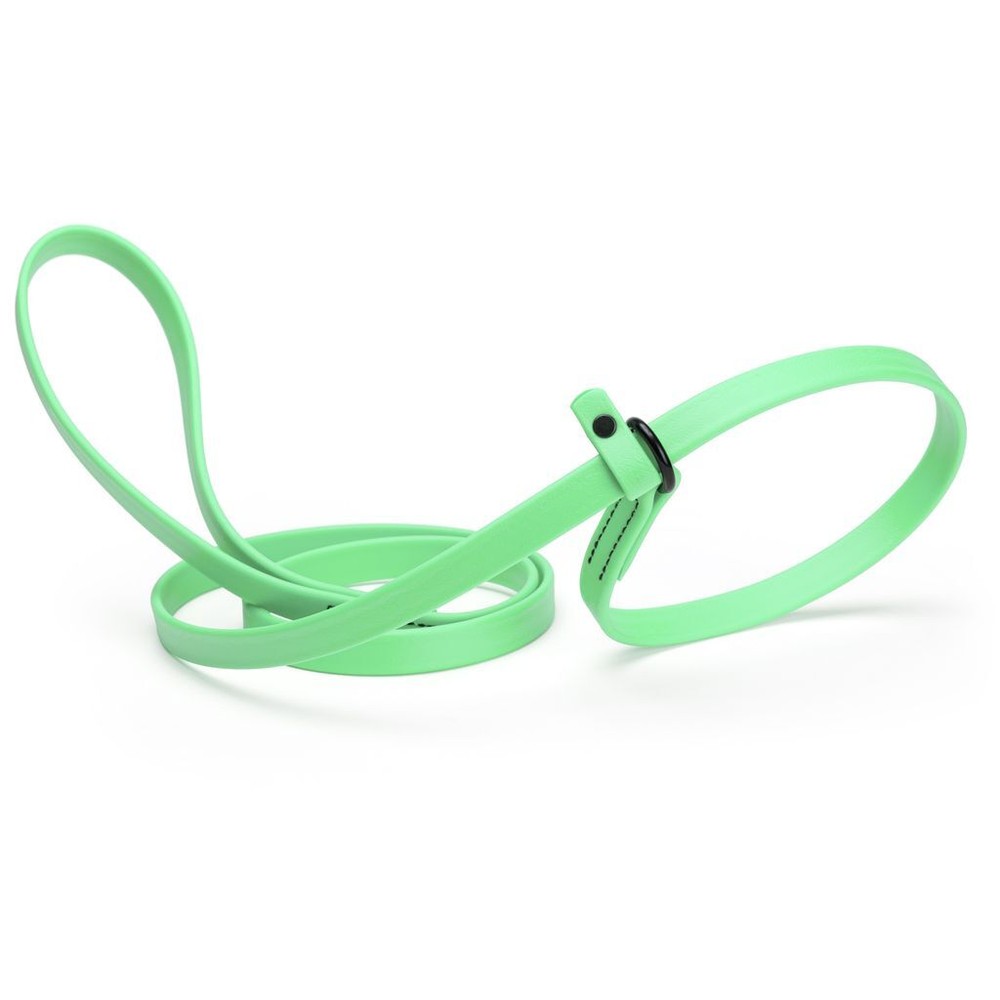 Dog Pet Waterproof Slip Lead – W5/8″ x L7′ – Sea Foam Green