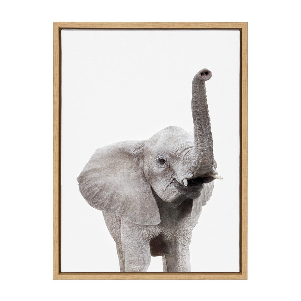Kate and Laurel Sylvie Elephant with Raised Trunk Animal Print Portrait Frame…