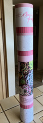 Pink Picasso Paint By Number Kit SENSITIVE SUCCULENTS aso Shark Tank PLEASE READ