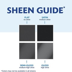 Rust-Oleum Stops Rust Clear Enamel