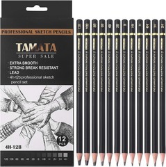 TAMATA Professional Drawing Sketching Pencil Set – 12 Pieces Art Graphite Pen…