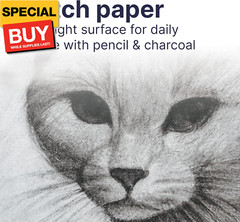 200 Series Sketch Pad, 8.5×11 inch, 100 Sheets, Side Wire – Artist Sketchbook fo
