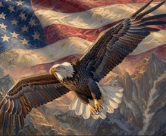 5D DIY Independence Day Diamond Art Kits for Adults, US Flag Eagle Diamond Paint