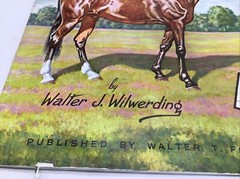 Walter Foster “How To Draw & Paint Textures Of Animals” 1985 Foster Art Book