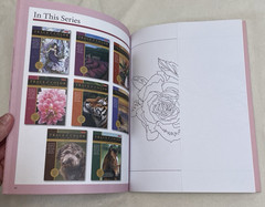 Art Instruction Book Lot 5 Trace & Color In Any Medium Painting Walter Foster