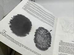 Walter Foster “How To Draw & Paint Textures Of Animals” 1985 Foster Art Book