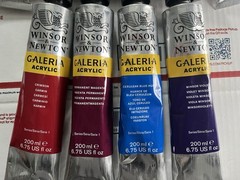 Winsor & Newton Galeria Acrylic Lot 11 New 200ml Tubes! Brand New