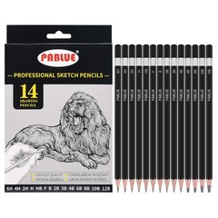 14 PCS Professional Triangular Sketch Drawing Graphite Pencil Set 12B To 6H