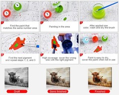 Highland Cow Paint by Number for Adults, Paint by Numbers Kit for Adults Beginne