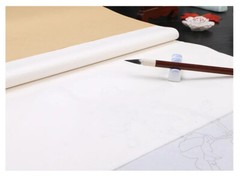 10Pc Ultra-Thin Ripe Xuan Rice Paper Ink Gongbi Painting Copy Calligraphy 云母蝉衣