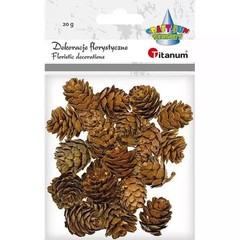5903714533688 Szyszki brązowe 20g Titanum