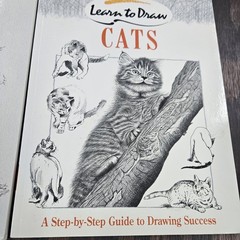 Learn to Draw Drawing/Sketching Books Lot of 2: Sketching + Draw Cats