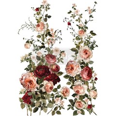 Scarlet Embrace | Rub On Decor Transfer | Redesign with Prima