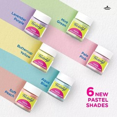 Fevicryl Acrylic Colors Pastel Kit of 10 Colors x 15 ml DIY Paints Free Shipp US