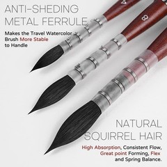 Squirrel Hair Travel Watercolor Brushes, 3pcs Natural Soft Squirrel Mop Round…