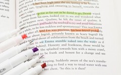 Saspoo Double Ended Highlighter 15 Ct. Soft Mild Color